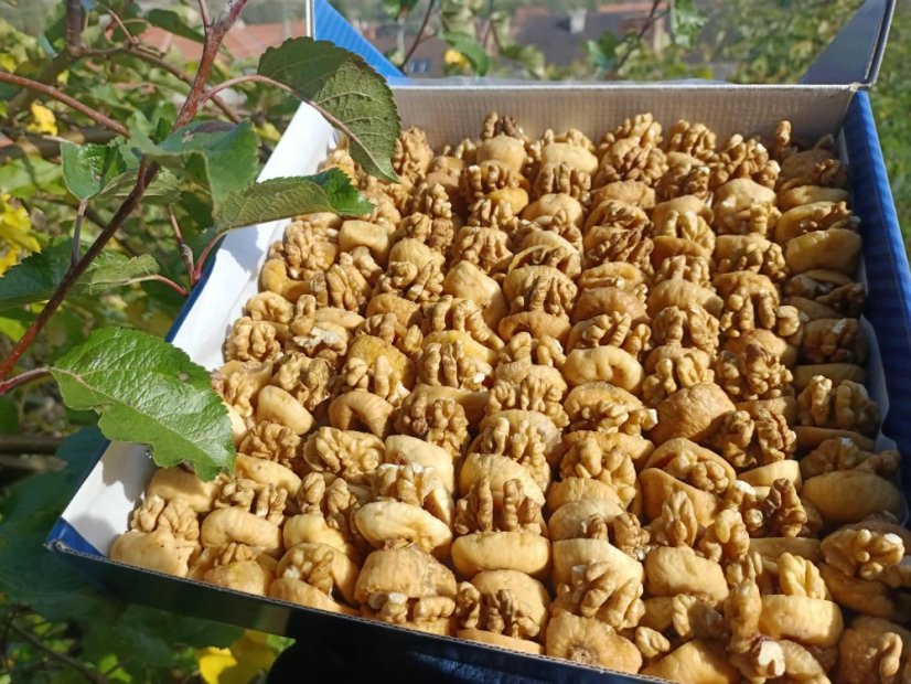 Sušené fíky s ořechy 500 gr