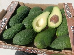 Avokádo 1 kg