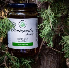 Med borovicový 950 gr