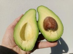 Avokádo 1 kg