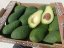 Avokádo 1 kg